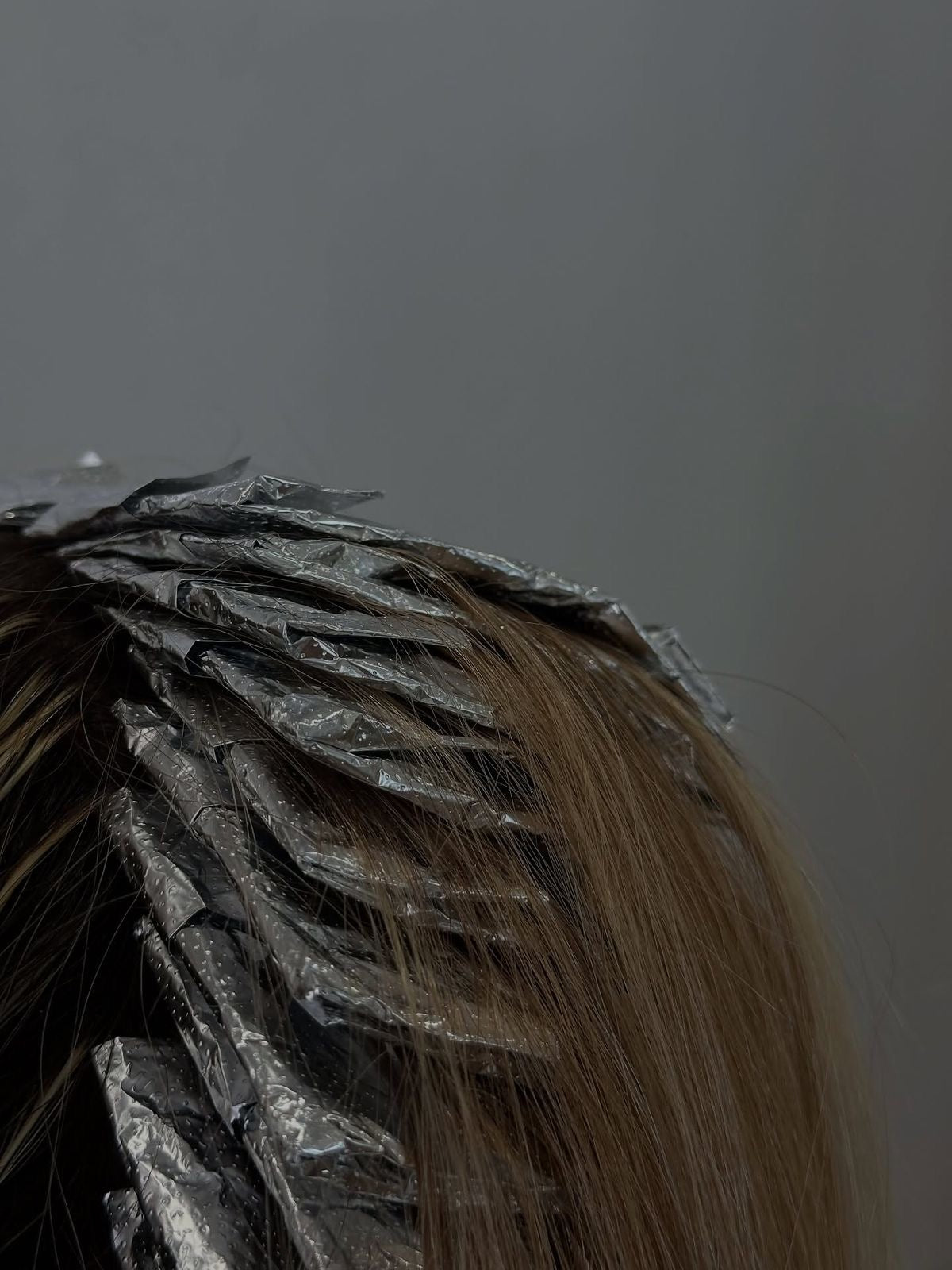 Highlights